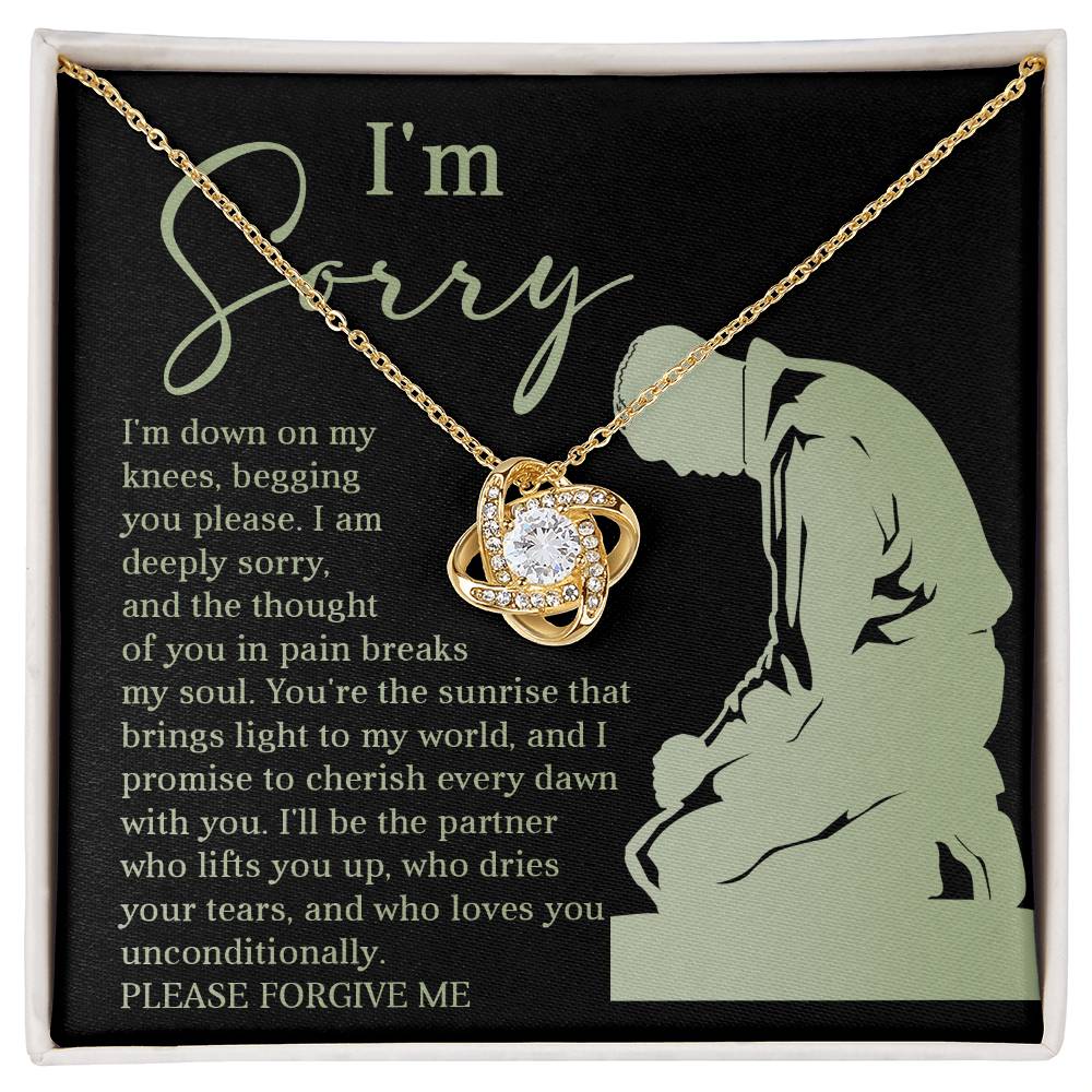 I would like to apologize, please forgive me. Sincere apology with message card and love knot pendant necklace.