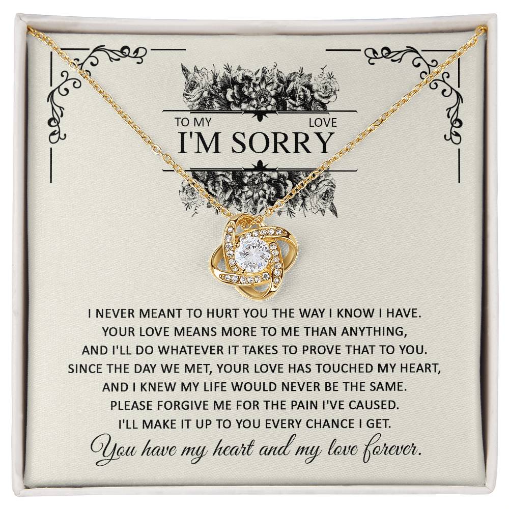 Sorry for hurting you, true and sincere  apologetic letter on message card with love knot pendant necklace.