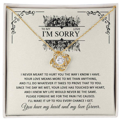 Sorry for hurting you, true and sincere  apologetic letter on message card with love knot pendant necklace.